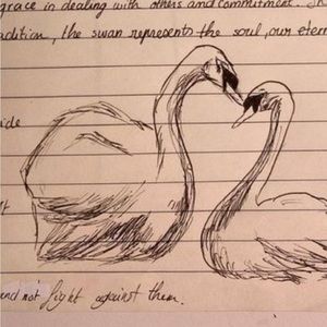 Meet your Posher, Adrian